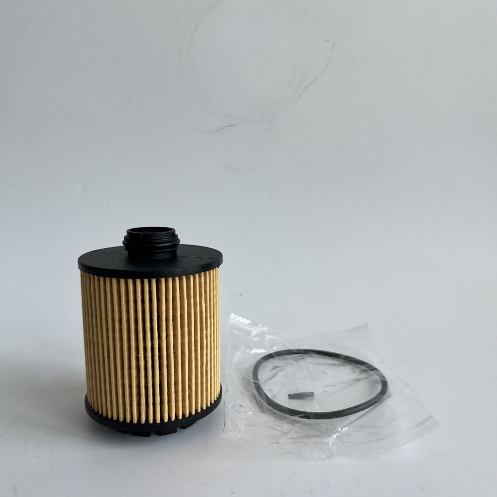 HU7043Z 1612565980 Ölfilter für Petgeot