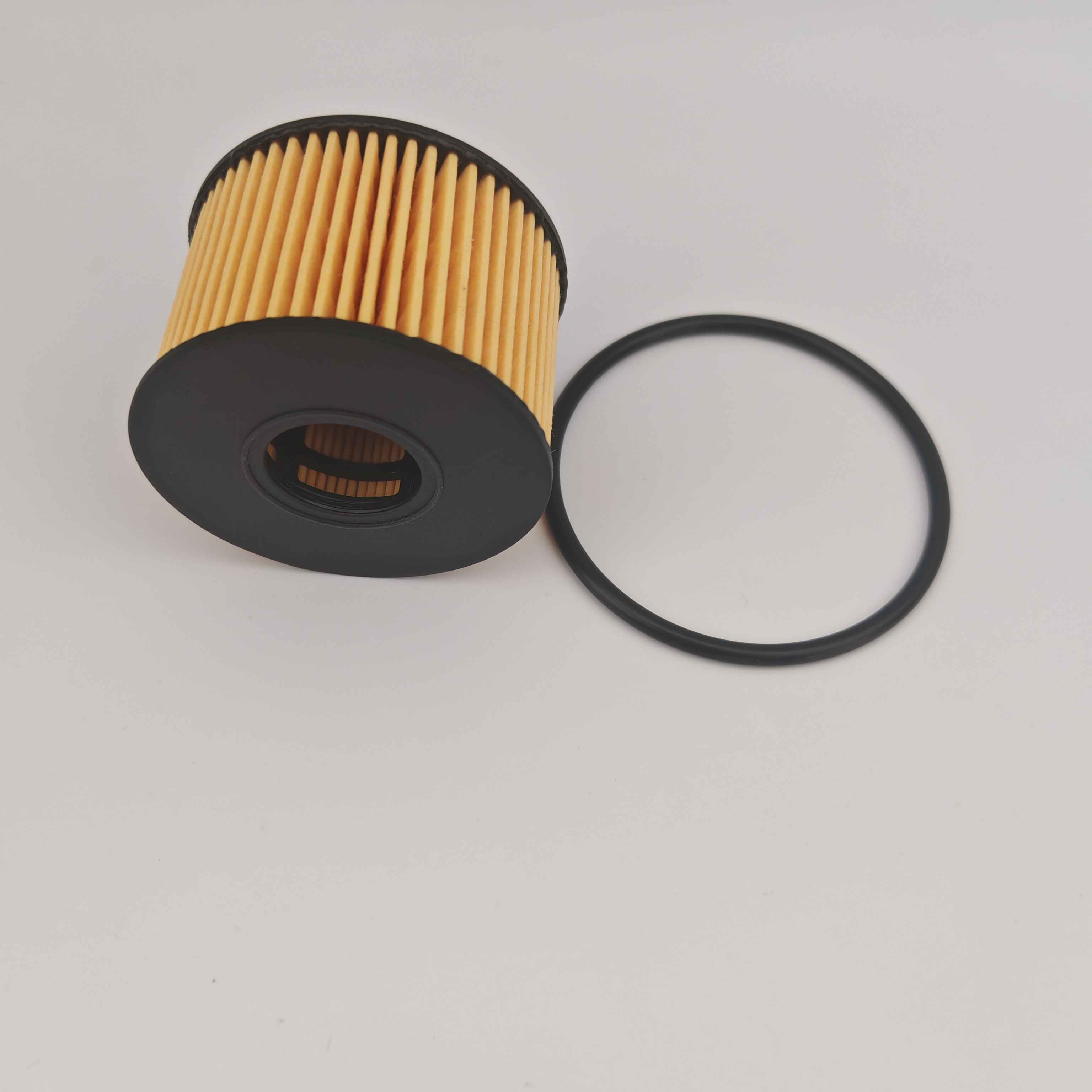 MS1-6744-AA OX1243D FOH5013 Ölfilter für JMC